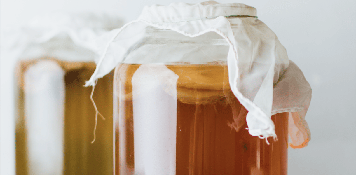 Kombucha: Wirkung von fermentierten Tee – Vorteile für Gesundheit