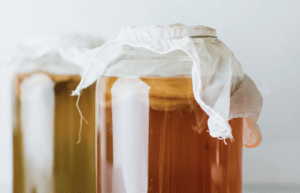 Kombucha: Wirkung von fermentierten Tee – Vorteile für Gesundheit