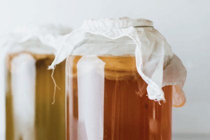 Kombucha: Wirkung von fermentierten Tee – Vorteile für Gesundheit