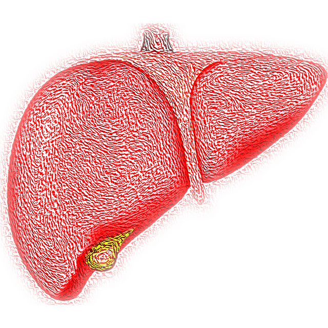 Ungesunde Leber: ein Symptom von Gelbsucht 