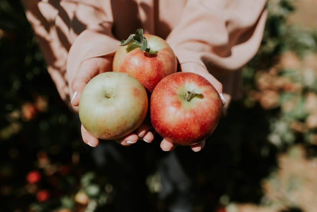 Äpfel - Herbstfrüchte