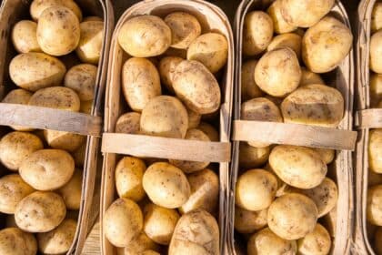 Sind Kartoffeln gesund? Nährwerte, Vorteile und Nebenwirkungen