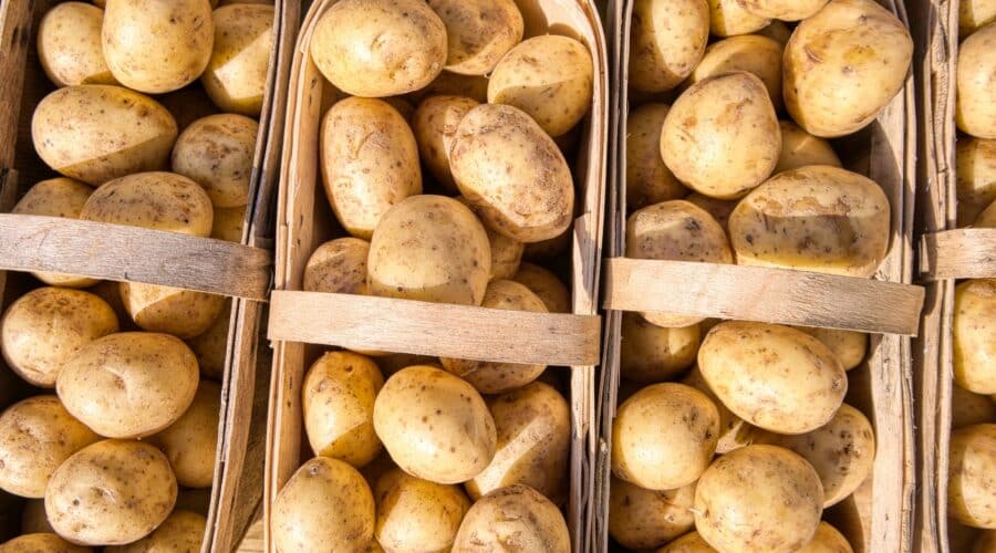 Sind Kartoffeln gesund? Nährwerte, Vorteile und Nebenwirkungen