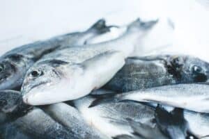 Fisch - Welchen Sie essen und welchen Sie meiden sollten