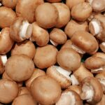 Zucht-Champignons: Nutzen für die Gesundheit - Zucht-Champignon