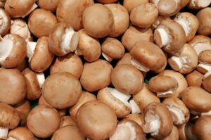 Zucht-Champignons: Nutzen für die Gesundheit - Zucht-Champignon