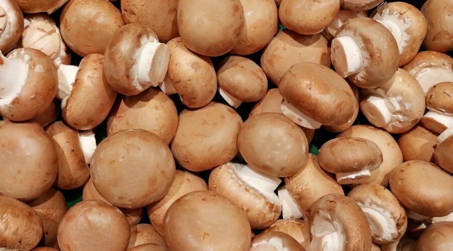 Zucht-Champignons: Nutzen für die Gesundheit - Zucht-Champignon