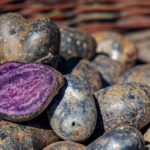 Lila Kartoffeln voller Antioxidantien: Die gesunden, vielseitigen Kohlenhydrate