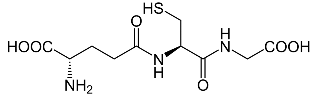 Formel_Chemisch_Glutathionsvg_ » Medizin - Fitness - Ernährung Glutathion, auch γ-L-Glutamyl-L-cysteinylglycin, ist ein Tripeptid, das aus den drei Aminosäuren Glutaminsäure, Cystein und Glycin gebildet wird.