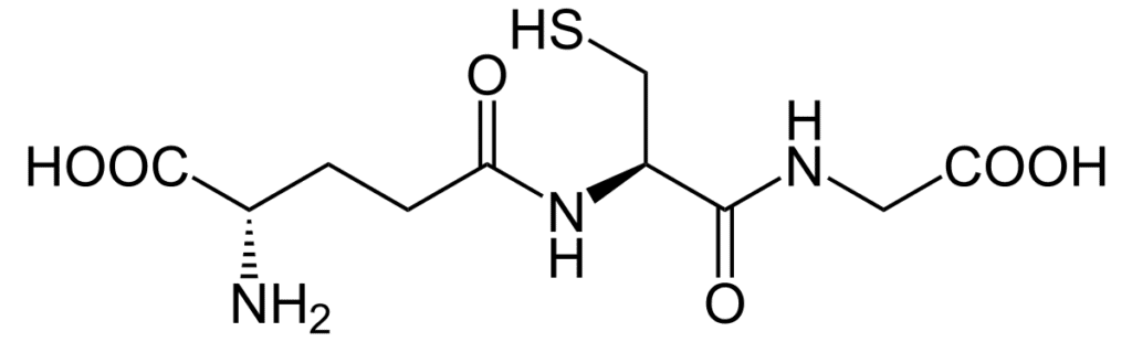 Glutathion, auch γ-L-Glutamyl-L-cysteinylglycin, ist ein Tripeptid, das aus den drei Aminosäuren Glutaminsäure, Cystein und Glycin gebildet wird.