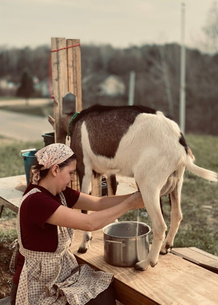 Was ist Ziegenmilch?