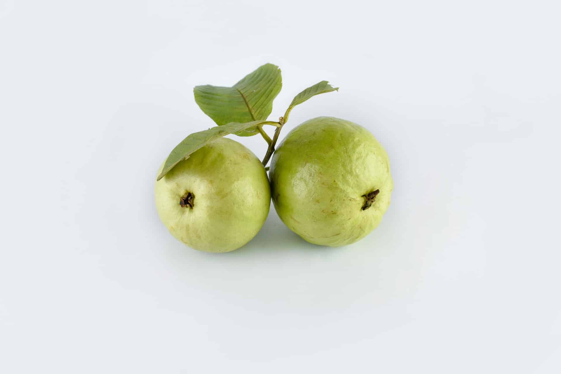 Früchte und Blätter der Guave haben keine signifikanten Nebenwirkungen