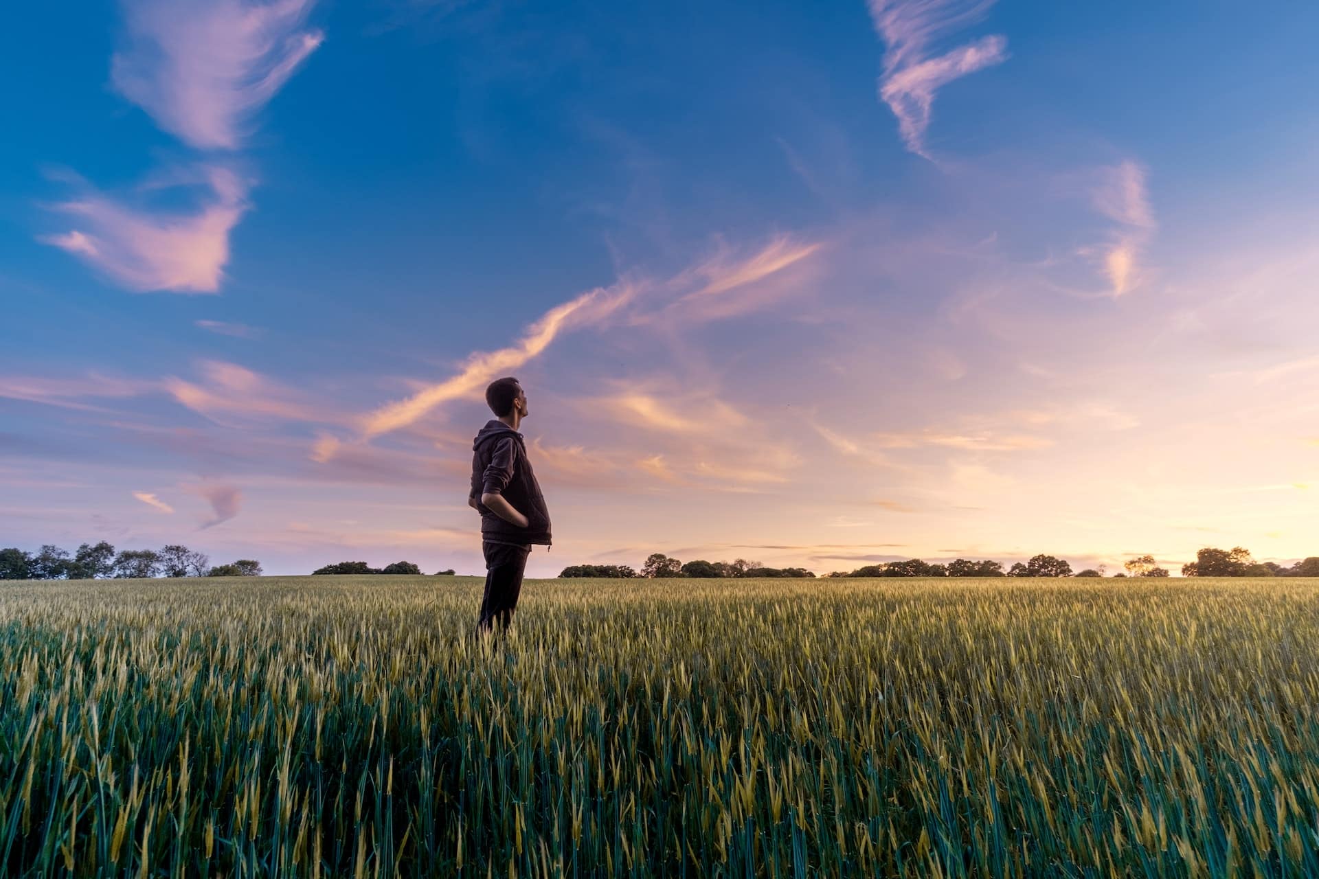 Was ist Regenerative Landwirtschaft?