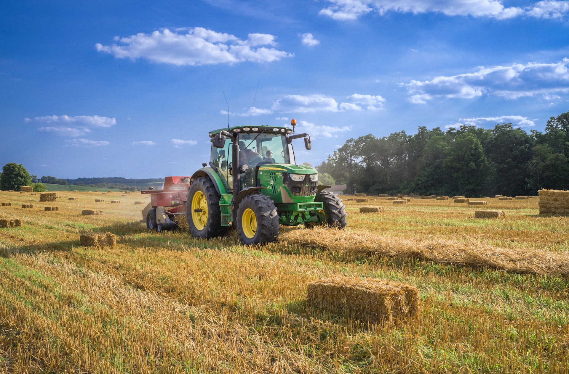 Regenerative Landwirtschaft: Prinzipien, Pioniere + funktioniert es wirklich?