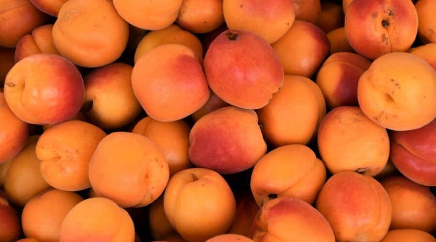Aprikose fördert die Leber, die Augen und das Verdauungssystem