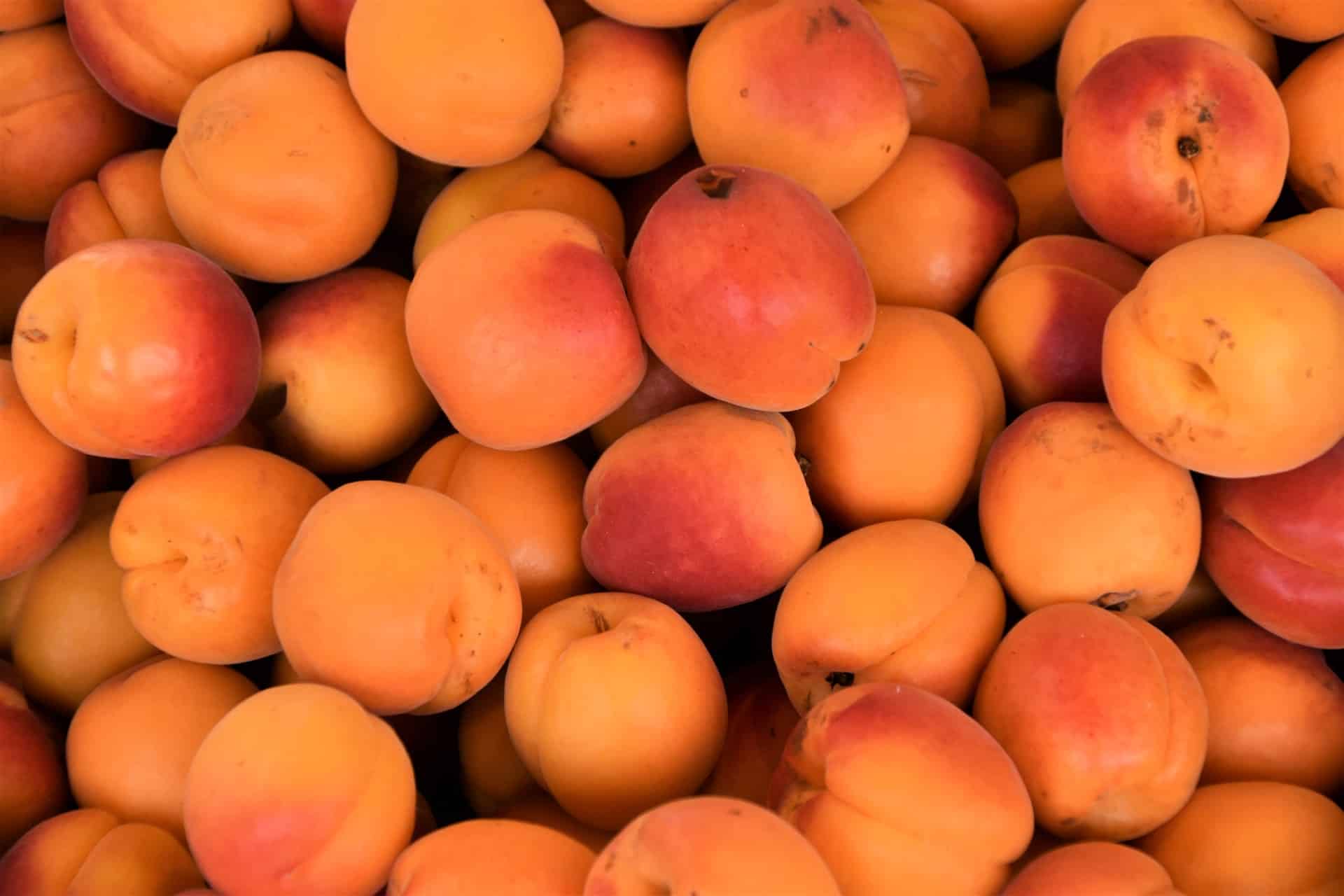 Aprikose fördert die Leber, die Augen und das Verdauungssystem