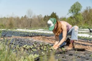 Agroforstwirtschaft, einschließlich Silvoweide