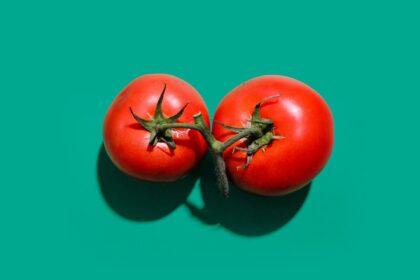 Lycopin: ein Antioxidans zur Krebsvorbeugung und zur Förderung der Herzgesundheit