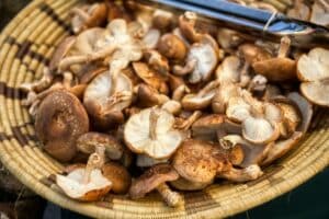Gesundheitliche Vorteile von Pfifferlingen