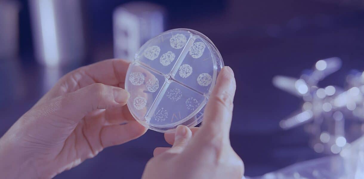 H. pylori Infektion - Symptome, Ursachen & Behandlung