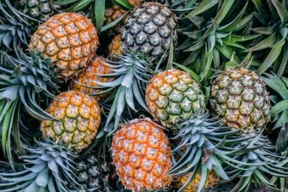 Bromelain: das Ananas-Enzym, das mehrere Krankheiten bekämpft
