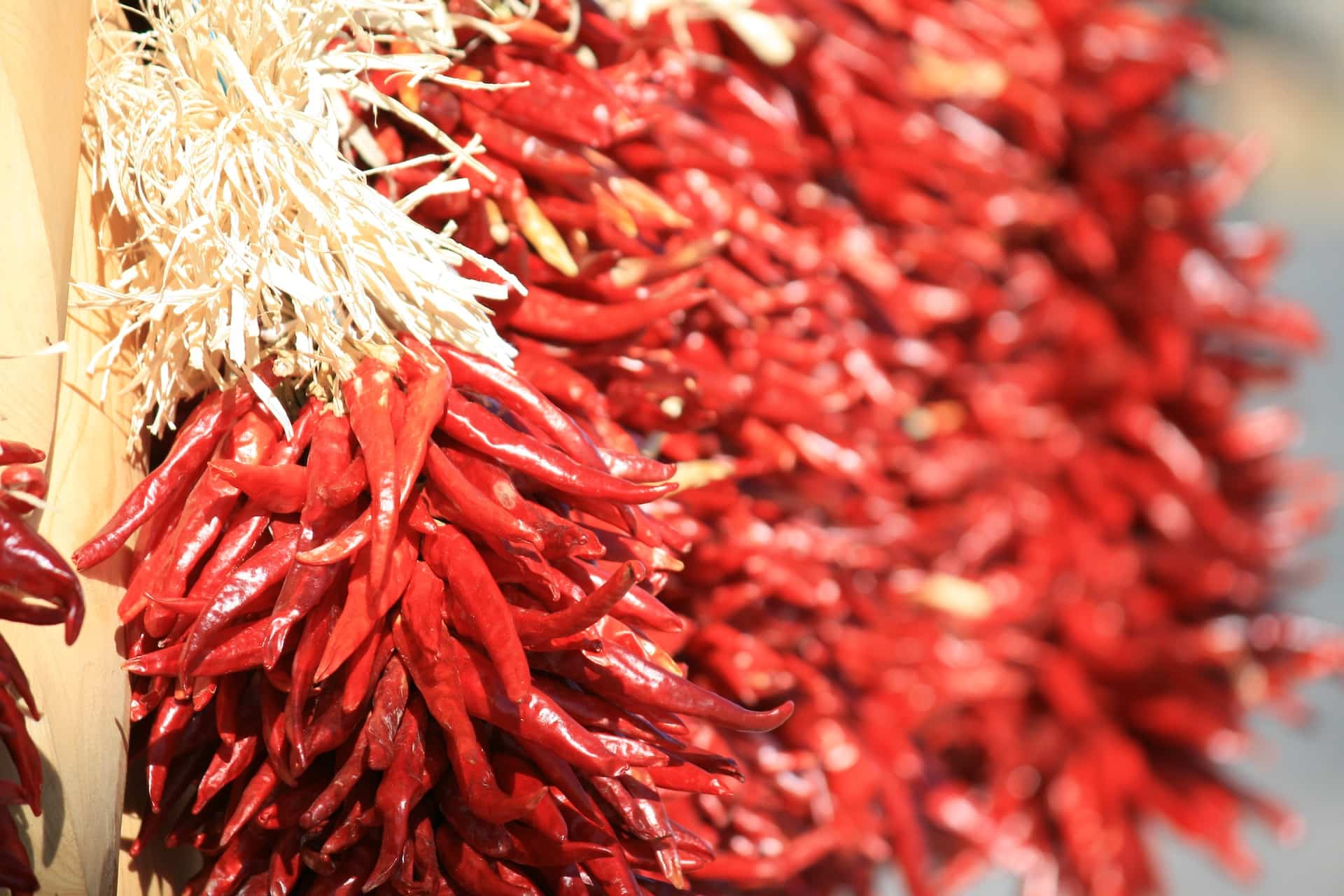 Der Ursprung der Chili liegt in Mittel- und Südamerika. Es ist nach der Hauptstadt Französisch-Guayanas, Cayenne, benannt. 