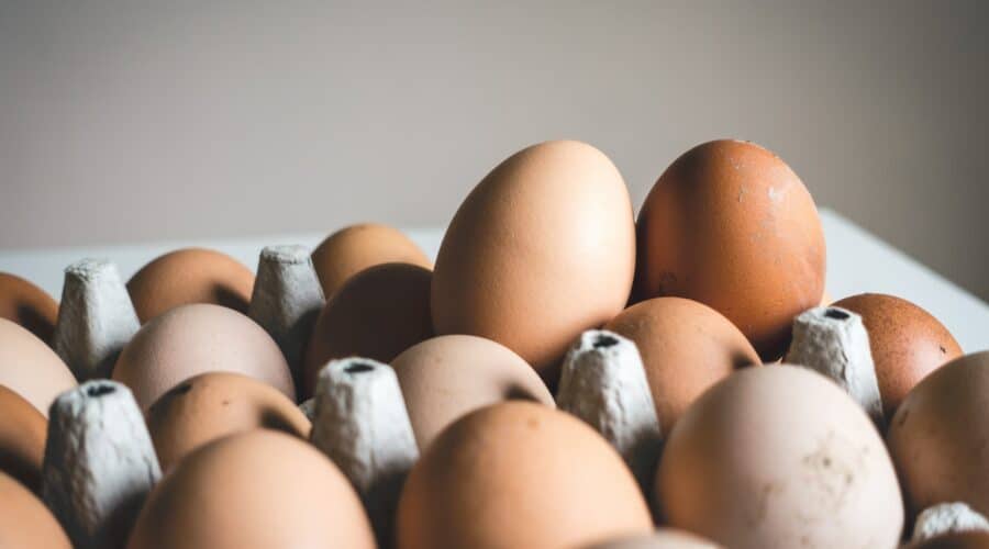 11 Lebensmittel mit mehr Protein als ein Ei