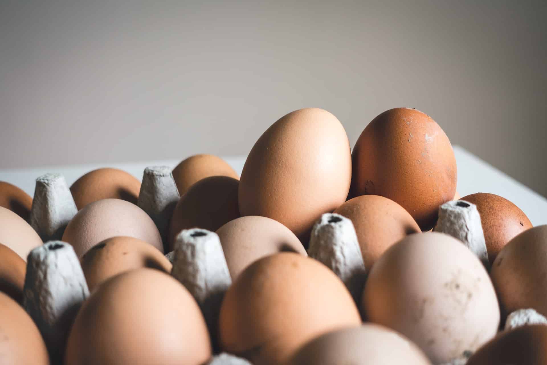 11 Lebensmittel mit mehr Protein als ein Ei