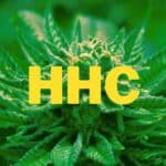 Was ist HHC - Wirkung & Konsum mit Vapes