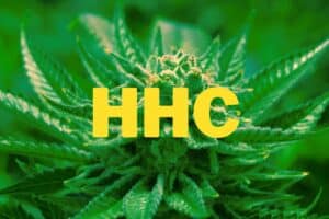 Was ist HHC - Wirkung & Konsum mit Vapes