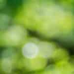 Green Noise - Vorteile & Wirkung von grünem Rauschen