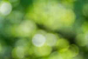 Green Noise - Vorteile & Wirkung von grünem Rauschen