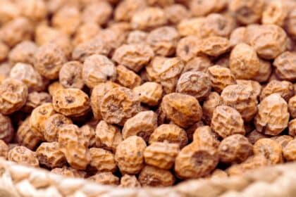 Erdmandeln - süss, aber gesund! - Vorteile der Tiger Nuts