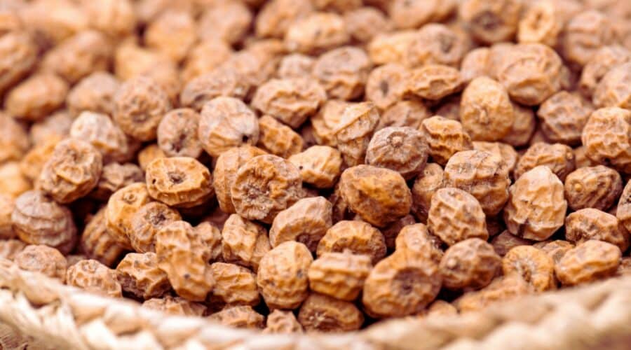 Erdmandeln - süss, aber gesund! - Vorteile der Tiger Nuts