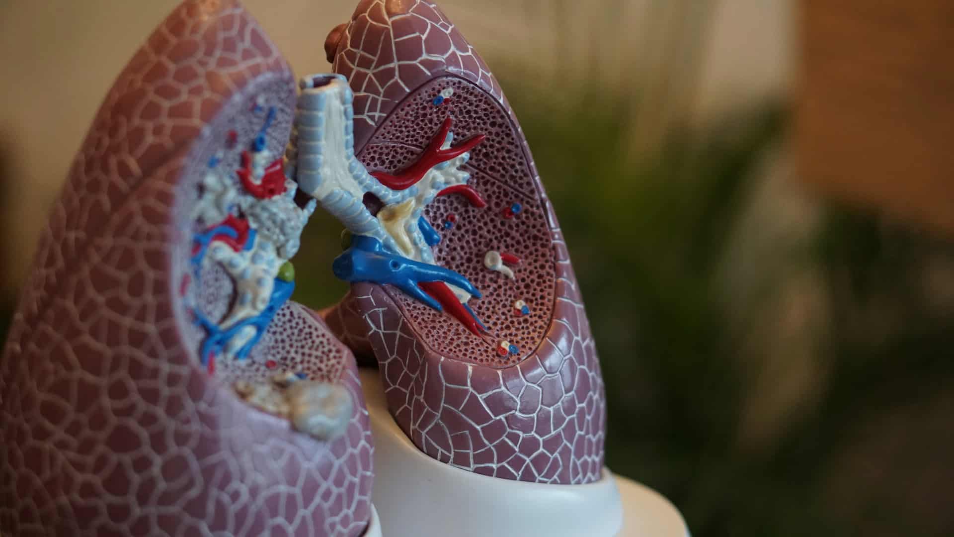 Verbesserte Atmung durch Entfernen von Lungenteilen